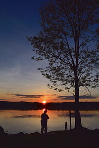 silhouette, fisherman, shore, sunset, fishing, water, nature
