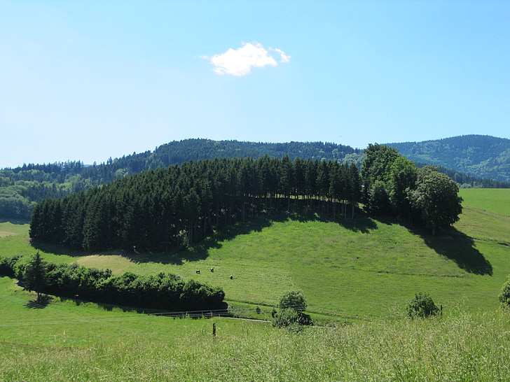 Schwarzwald, Firs, Se, landskab, idyl