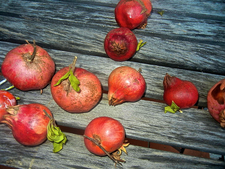 Granatno jabolko, lesa, sadje, zdravo, okusno, hrane, sveže
