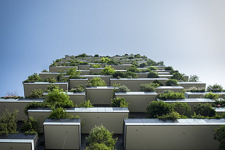 balcoane, clădire, plante de terasă, privind în sus, model, Apartamente, arhitectura