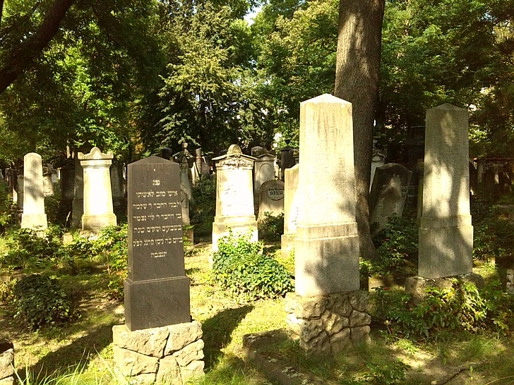sepulturas, pedras graves, Magdeburg, cemitério, cemitério judaico