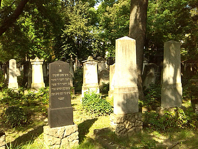 graves, piedras graves, Magdeburg, Cementerio, Cementerio judío