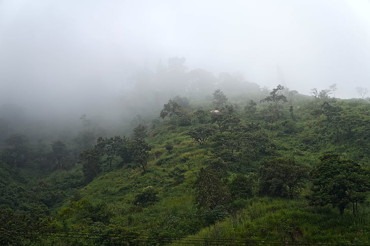 el salvador, mountains, hill, sierra, fog, air, green