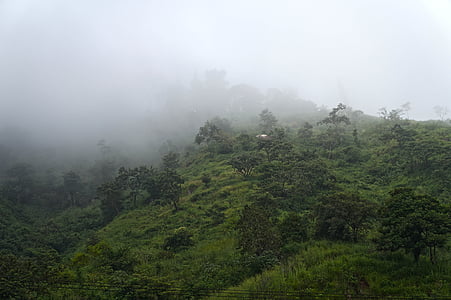 El Salvador, montagne, collina, Sierra, nebbia, aria, verde