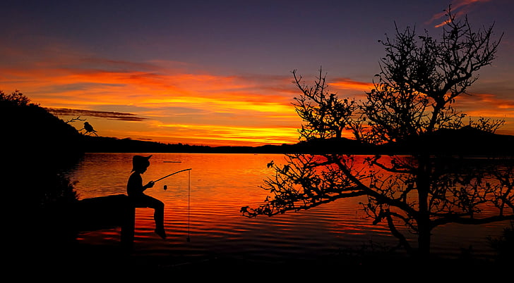 copil, băiat, peşte, Lacul, apele, iaz de pescuit, înger
