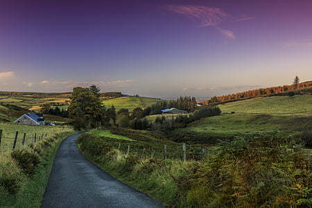 landscape, dublin, ireland, road, nature, field, rural scene