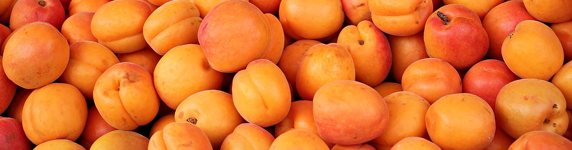 abricots, fruits, fruits, Sweet, en bonne santé, délicieux, manger