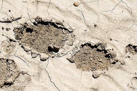 footprint in mud, muddy footprint, dried mud, mud, tracks, footprint, shoe print