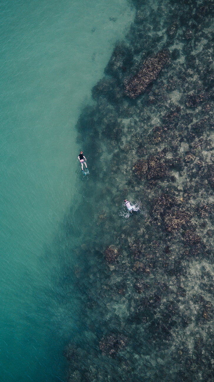 couple, body, water, ocean, sea, snorkeling, high angle view