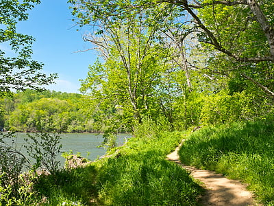 Billy goat trail, Potomac river, Trail, sökväg, vandring, naturen, vatten