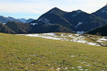bergen, Alpina äng, Alpin betesmark, Mountain meadows, Mountain äng, äng, betesmark