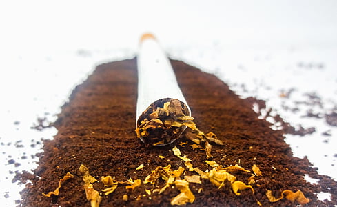 sigaret, tabak, koffie, poeder, witte achtergrond, wit, afbeelding