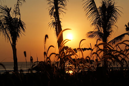coucher de soleil, Bali, océan, Côte, Dim, silhouette