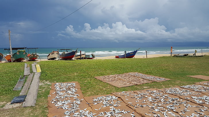 Strand, Malaysien, Fisch, gesalzen, getrocknet, Boot, Foto