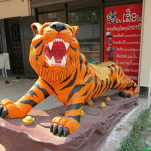 Tigre, animal, vida selvagem, Bengala, cabeça, Ásia, laranja