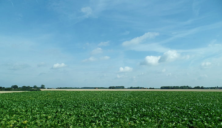 denmark, field, sun, sky, clouds, summer, nature