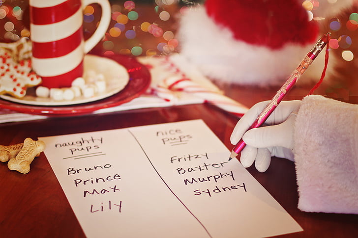 Santa, nimekiri, jõulud, koerad, poegade, Naughty, Tore
