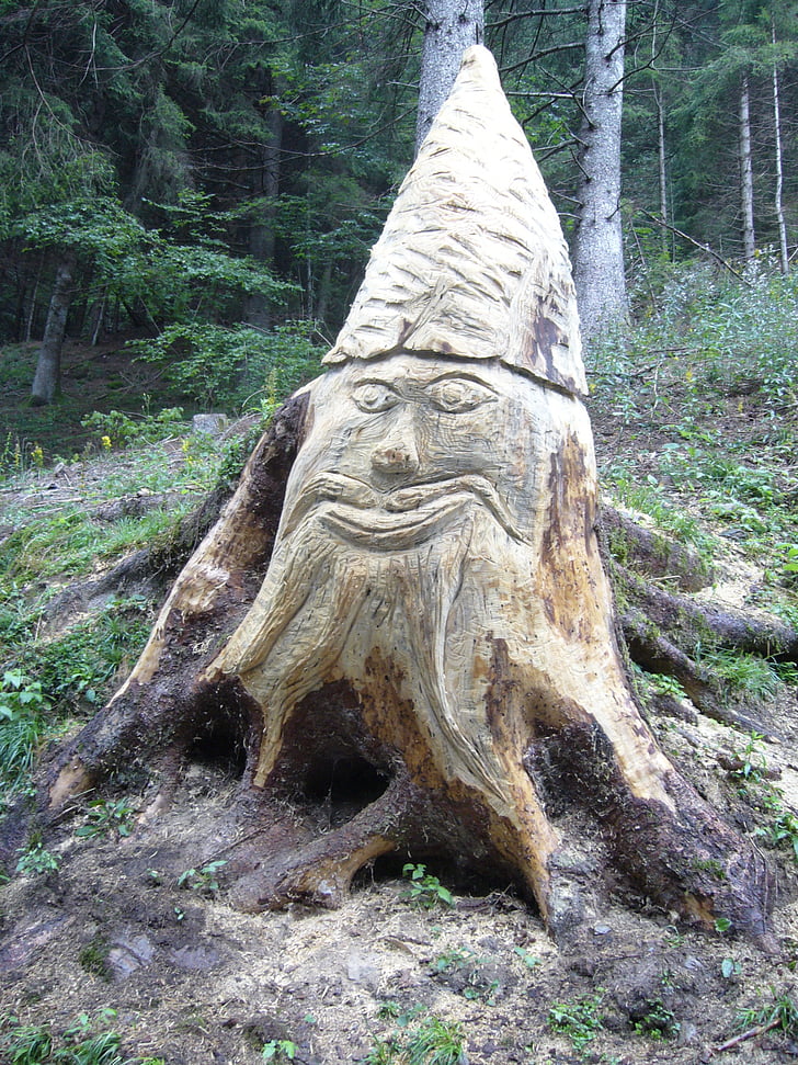 sculpture in wood, gnome, forest, carved log, tree, nature