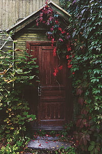 vrata, biljke, drvena vrata, drvo - materijal, na otvorenom, drvo