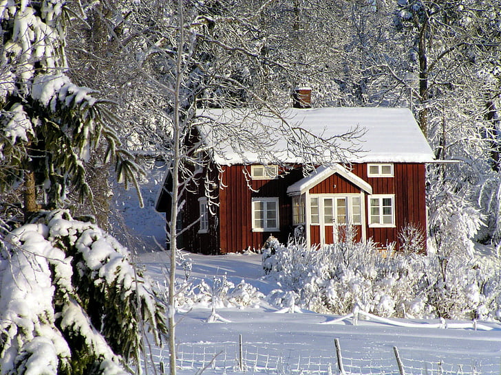 Дом, Коттедж, Зима, Красный коттедж, Швеция, лес, Природа