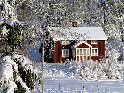 Casa, casa de campo, invierno, Cabaña roja, Suecia, bosque, naturaleza