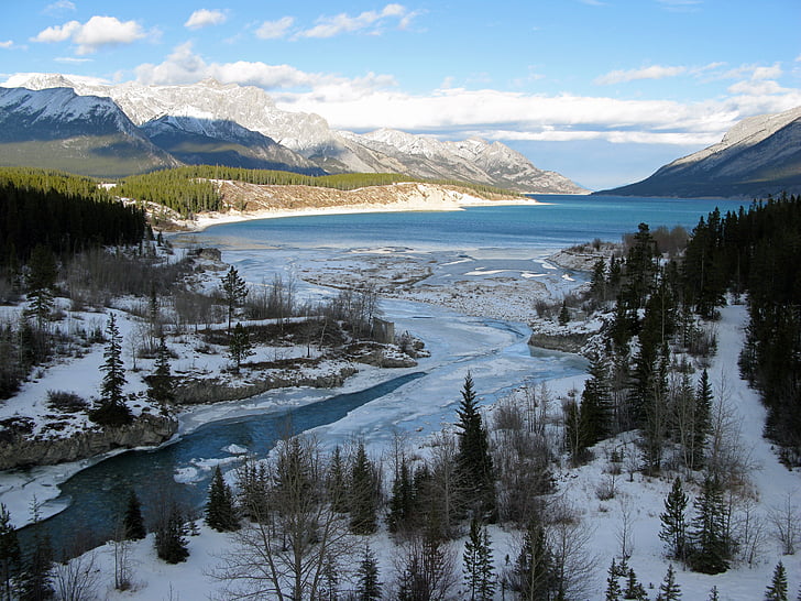 แม่น้ำ cline, แคนาดา, น้ำ, แม่น้ำ, ภูมิทัศน์, ทัศนียภาพ, ธรรมชาติ