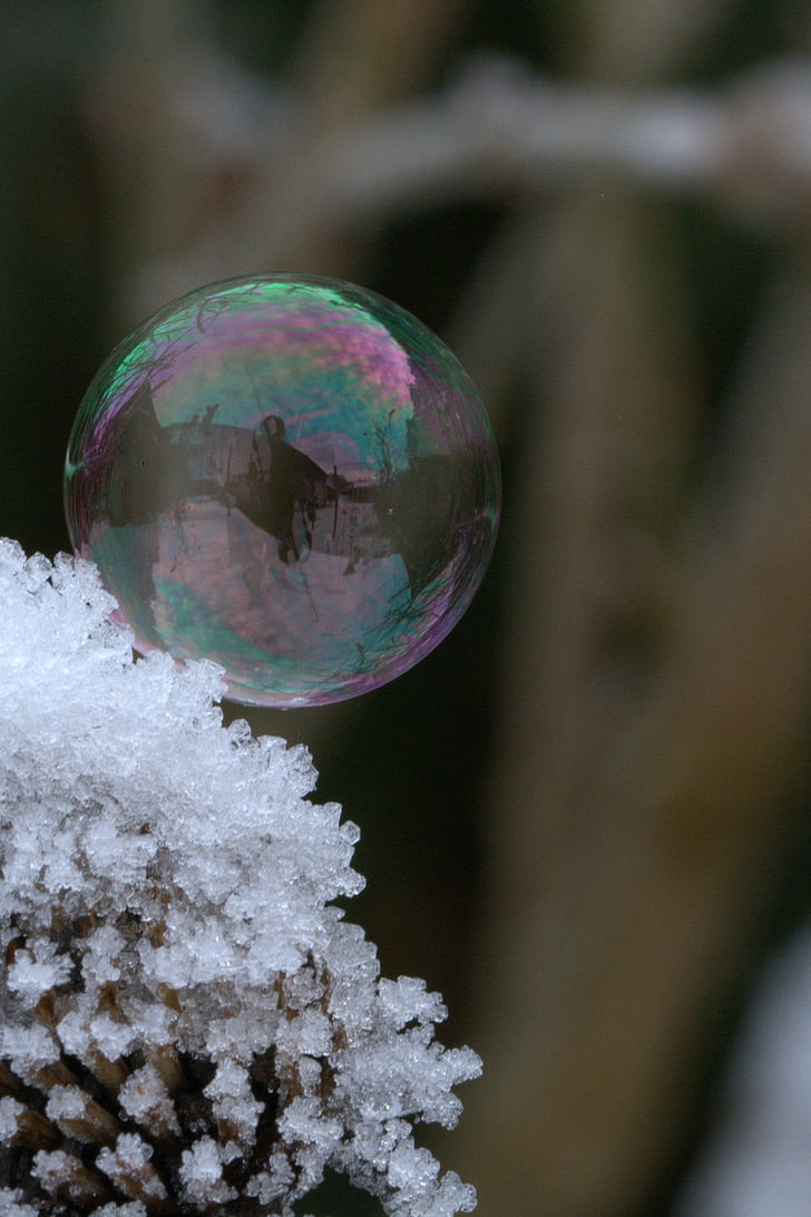 soap bubble, snow, frost, structure, cold, wintry, hoarfrost