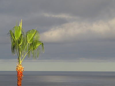 natuur, strand, Las palmas de gran, Canaria