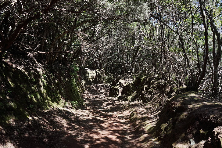 Trail, weg, pad, Tenerife, Anaga landschaftspark, Parque rural de anaga, Anaga