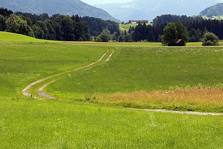 Lane, væk, vandreture, gang, natur, landskab, Chiemgau
