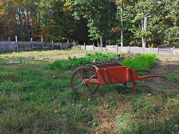 garden, wheelbarrow, farm, outdoors, grass