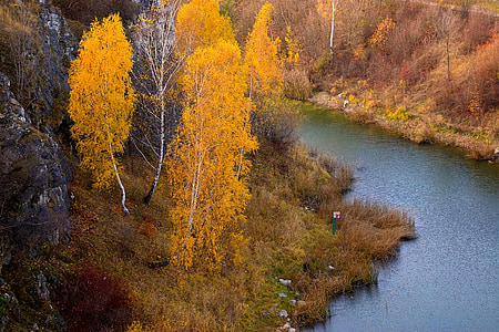 Río, agua, naturaleza, paisaje, árbol, Polonia, otoño