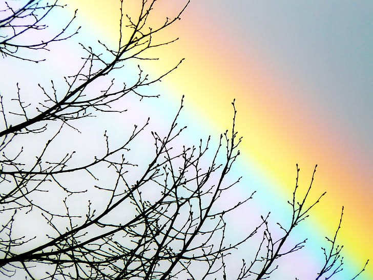 rainbow, sky, spectrum, rainbow colors, farbenspiel, natural phenomenon, nature