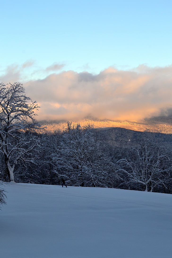 Mountain, sne, vinter, træer, Sunset, landskab, snesko