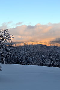 hegyi, hó, téli, fák, naplemente, táj, hótalpas