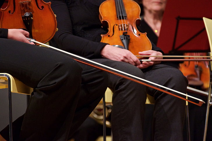 violin, string, close up, musical instrument, instrument