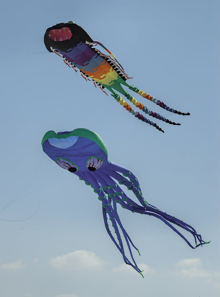 octopus, kite, beach, berck-plage, wind, sky, blue