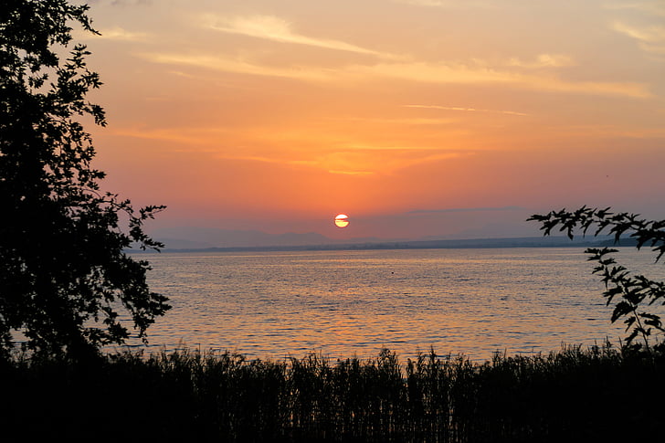photography, sunset, grass, tree, plant, nature, sea