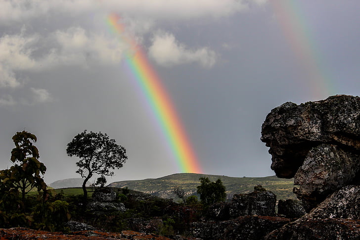 Rainbow, Luonto, Afrikka, ekologinen, sininen, Woods, elämä