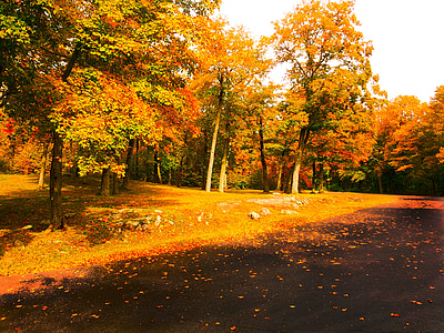 rudenį, rudens spalvos, rudenį, Auksinis ruduo