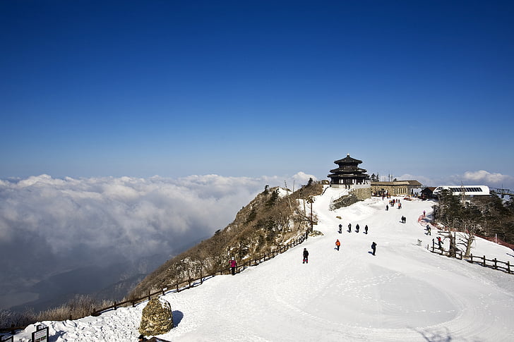 deogyusan, seolcheonbong, neu, l'hivern, muntanya, en el fred, flor de neu