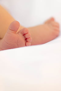 nadó, close-up, peus, dits dels peus, nen, persones, mà humana