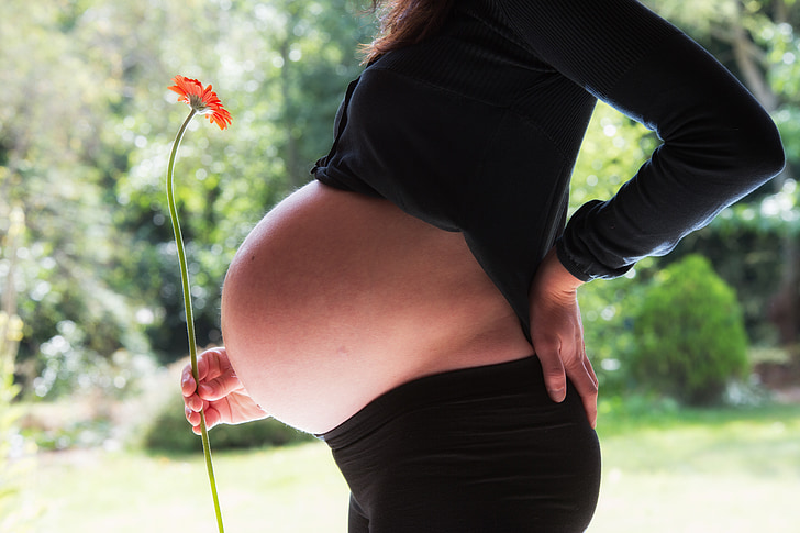 tehotná žena, Tehotenstvo, Baby, brucho, matka, kvety, dieťa