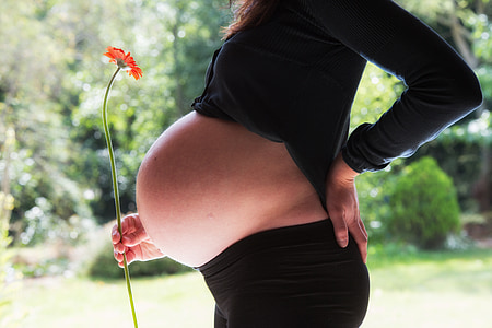 pregnant woman, pregnancy, baby, belly, mother, flowers, child