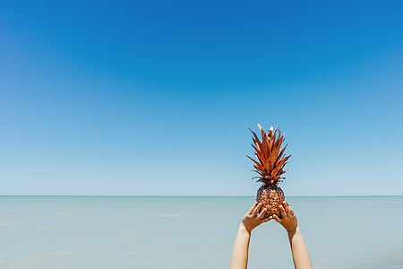 person, holding, pineapple, daytime, hand, ocean, water