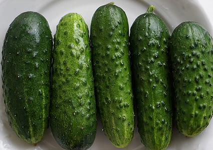 cucumbers, vegetables, food, green, kitchen, ensiling cucumbers, preparations