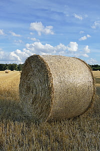 nature, hay bales, arable, cereals, field, clouds, sky