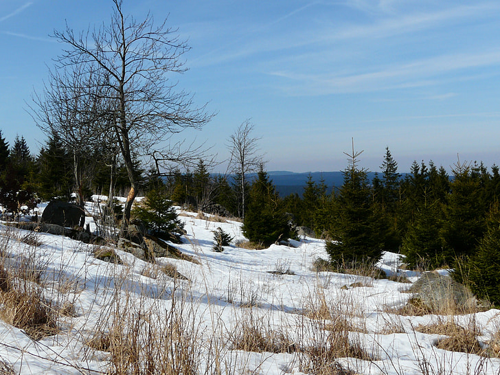 Landschaft, Schnee, Brokken, Harz, winterliche, weiß, Tannen