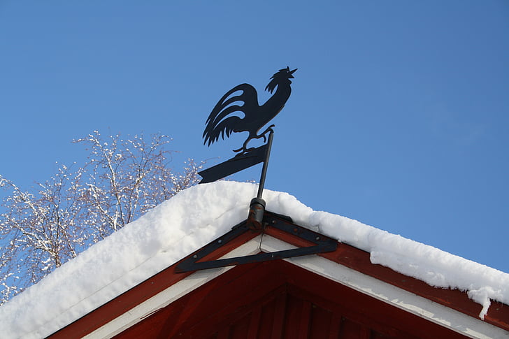 weather vane, cock, snow, winter