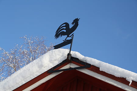 Weather vane, con gà trống, tuyết, mùa đông